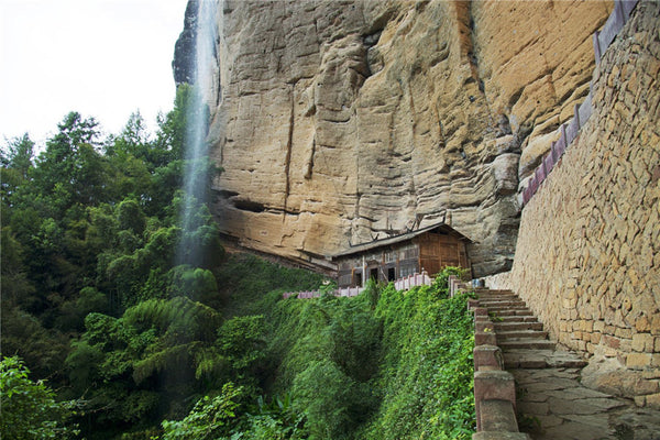 Old Bush Water Sprite (AKA Laocong Shui Xian Rock Oolong)