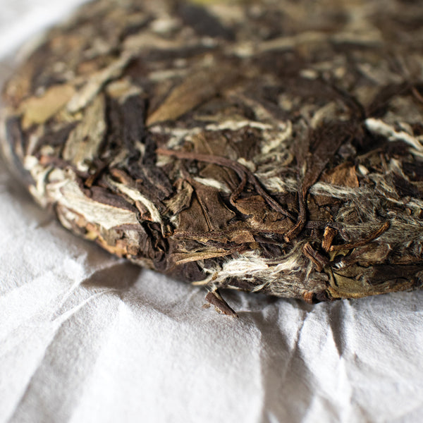 Aged White Peony 2017