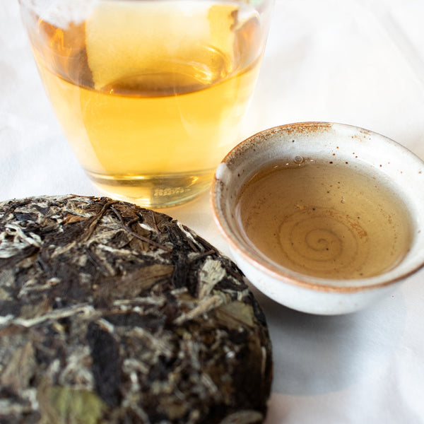 Aged White Peony 2017