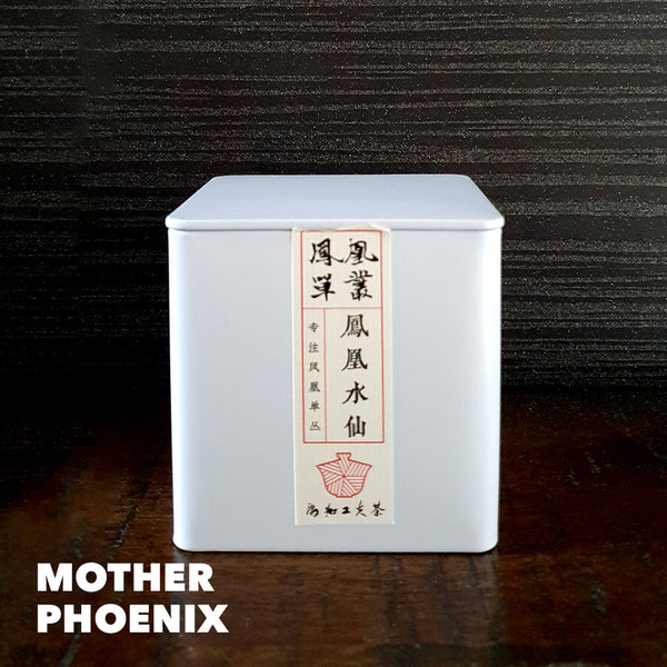 A Seriously Exquisite Tea Tasting – TDC Greatest Hits