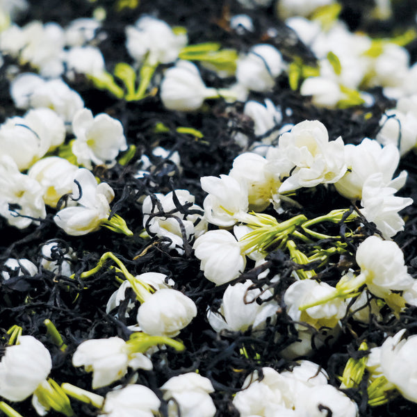 Wuyi Jasmine Red