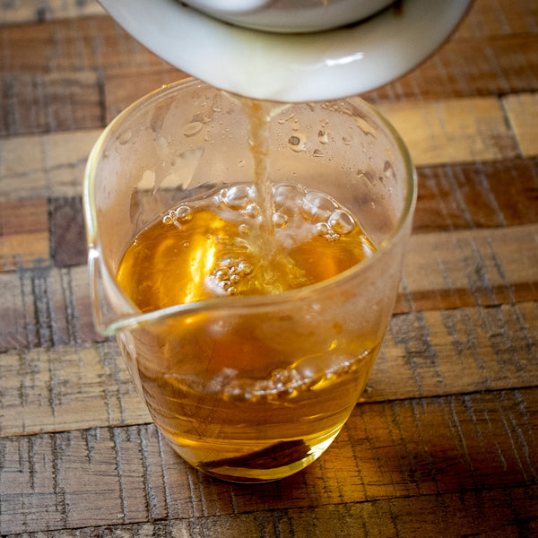 Phoenix Honey Orchid 2025