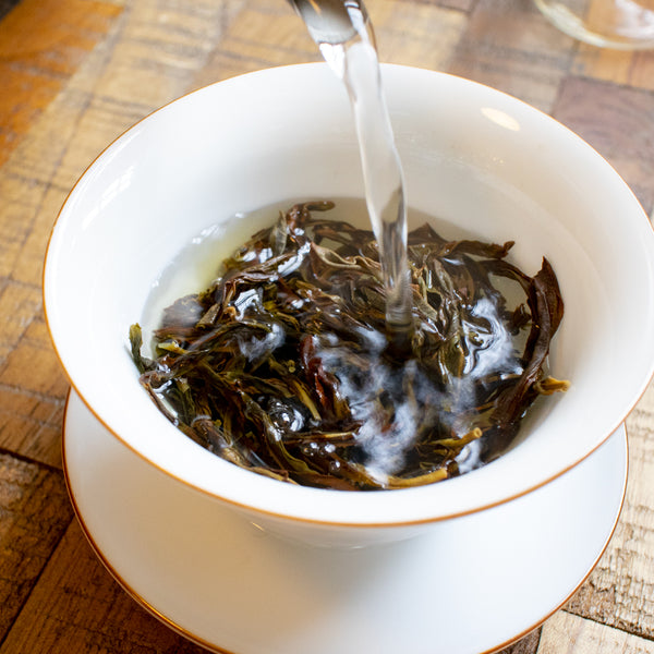 Phoenix Honey Orchid 2025