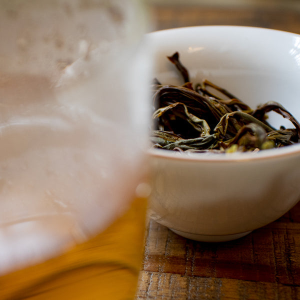 Phoenix Honey Orchid 2025