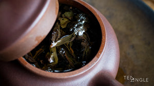 Good or bad: The top 3 things we look for in good tea