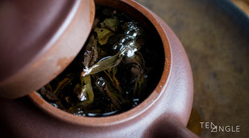 Good or bad: The top 3 things we look for in good tea