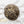 Aged White Peony 2017