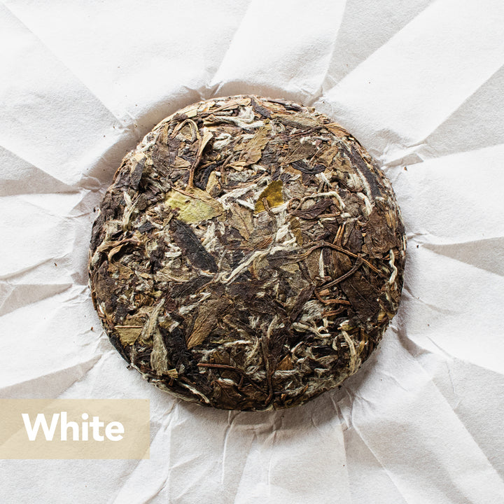 Aged White Peony 2017