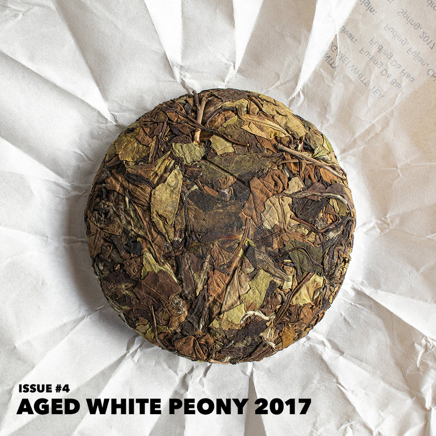 TEA DISCOVERY CLUB