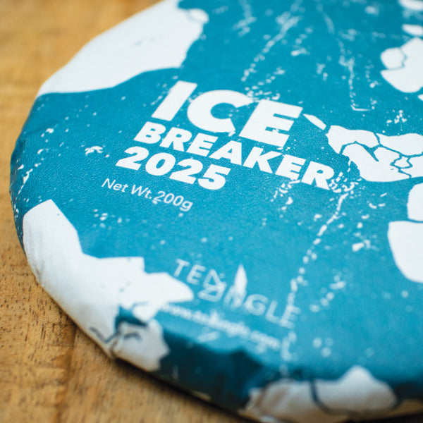 ICE BREAKER 2025