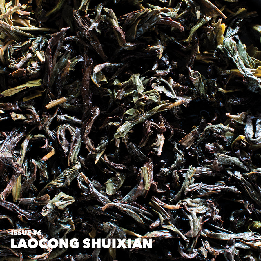 TEA DISCOVERY CLUB
