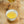 Li Shan Oolong