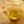Milky Oolong (Jin Xuan Oolong)