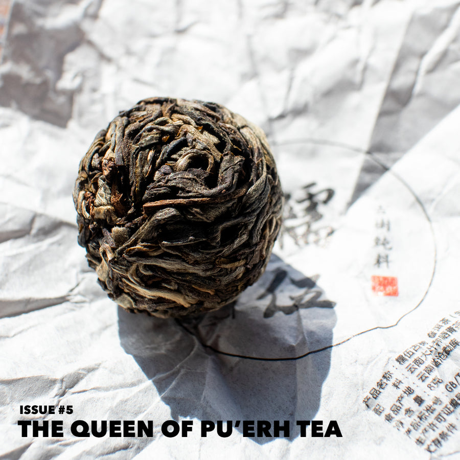 TEA DISCOVERY CLUB