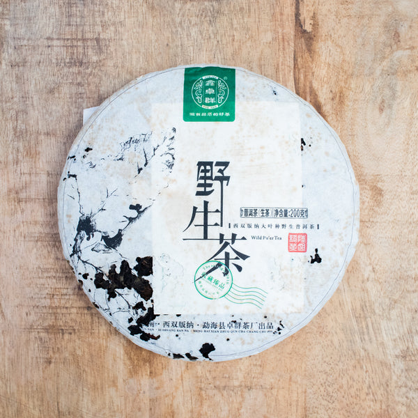 Snowy Mountain (Daxueshan) 2009