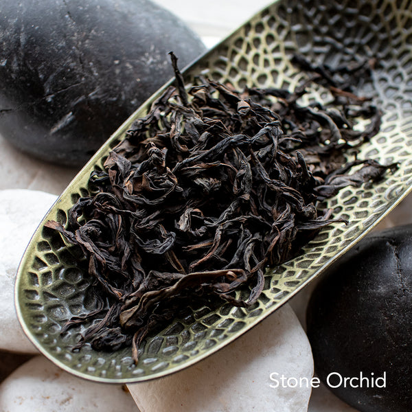 BLKF Fruity Tea Pack 20% Off