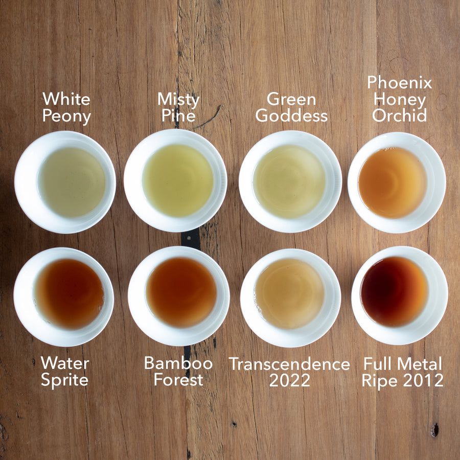 Tea Tasting Sample Pack