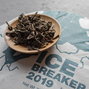 ICE BREAKER 2019