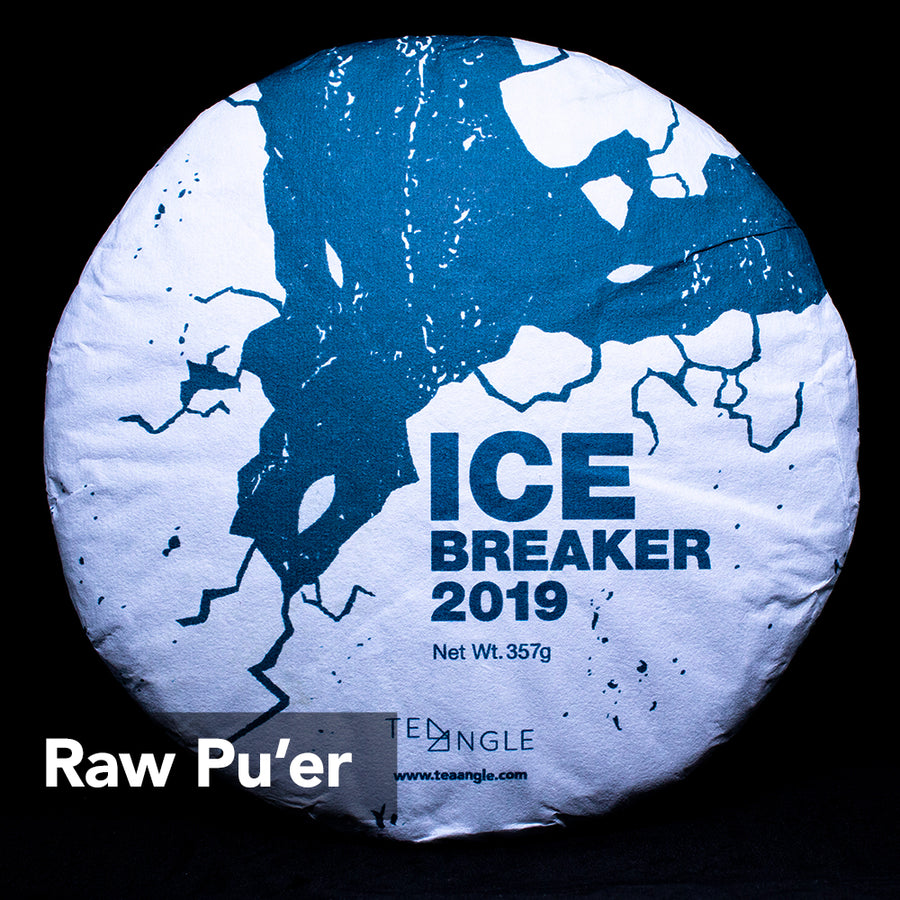 ICE BREAKER 2019