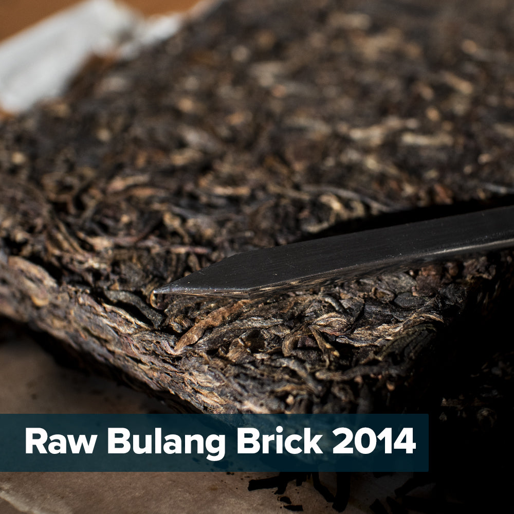 Tea Angle Raw Pu'erh Sample Pack