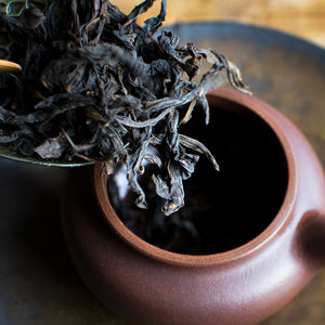 Wuyi Rock Tea Sample Pack